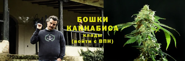 spice Сосновый Бор