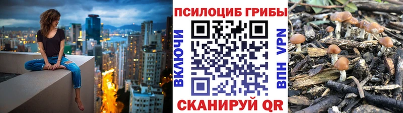 Псилоцибиновые грибы мицелий MEGA как зайти Полтавская